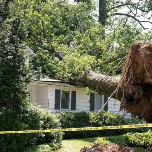 Storm & Wind Damage Repair Services in Tallahassee, FL